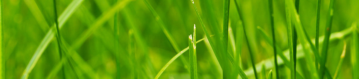 发卡网站推荐的电话闹钟